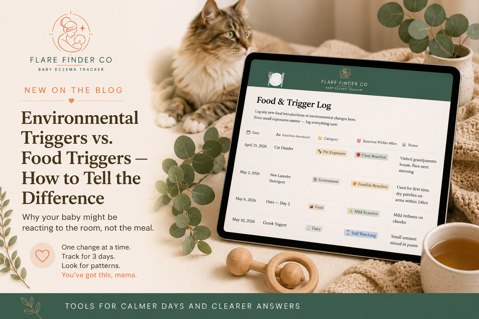 Environmental Triggers vs. Food Triggers in Baby Eczema - How to Tell the Difference
